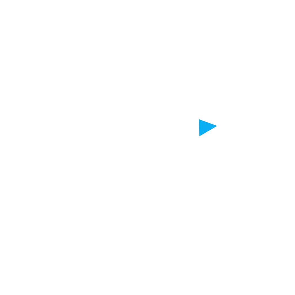 FIS Academy
